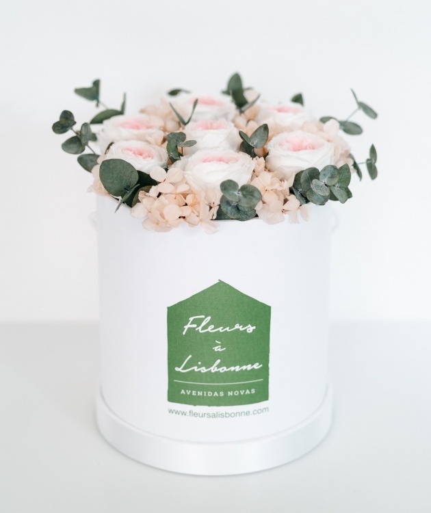 Caixa de Rosas Preservadas Cor de Rosa | Fleurs à Lisbonne